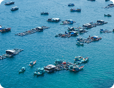 Maritime and Blue Economy Trade Group