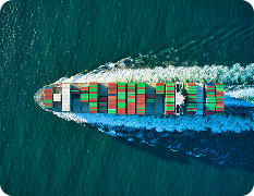 NACCIMA Export Group (NEG)